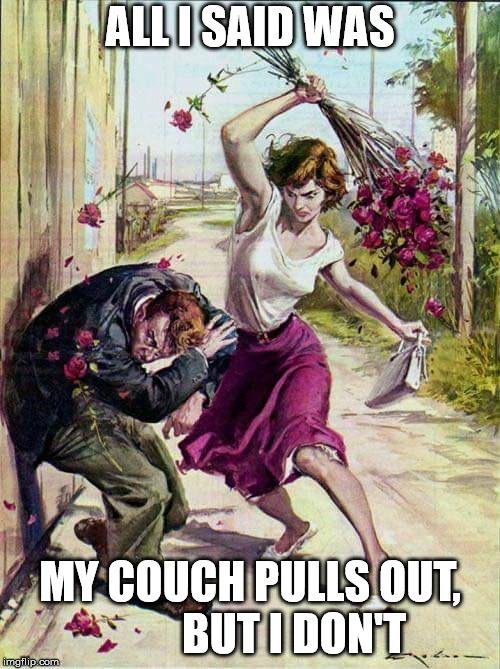 Beaten with Roses | ALL I SAID WAS; MY COUCH PULLS OUT,          BUT I DON'T | image tagged in beaten with roses | made w/ Imgflip meme maker