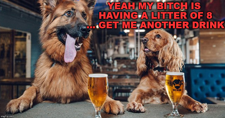 dog drinking | YEAH MY B**CH IS HAVING A LITTER OF 8 ... GET ME ANOTHER DRINK | image tagged in dog drinking | made w/ Imgflip meme maker