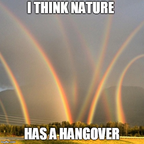 I THINK NATURE HAS A HANGOVER | made w/ Imgflip meme maker
