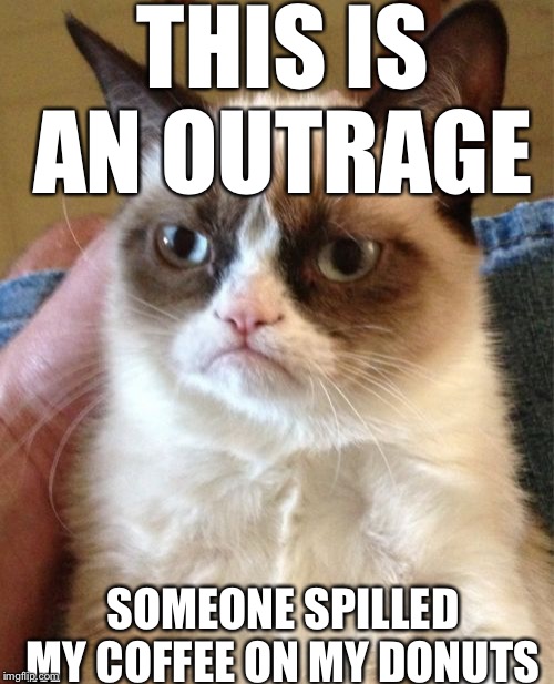 Grumpy Cat Meme | THIS IS AN OUTRAGE; SOMEONE SPILLED MY COFFEE ON MY DONUTS | image tagged in memes,grumpy cat | made w/ Imgflip meme maker