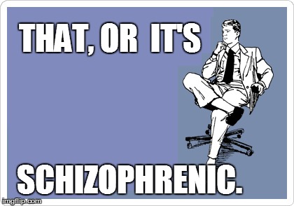 THAT, OR  IT'S SCHIZOPHRENIC. | made w/ Imgflip meme maker