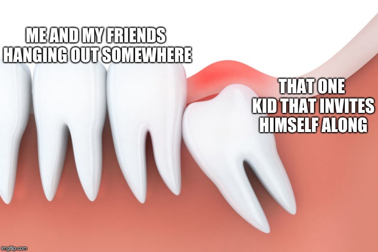Me with literally everything | ME AND MY FRIENDS HANGING OUT SOMEWHERE; THAT ONE KID THAT INVITES HIMSELF ALONG | image tagged in friends | made w/ Imgflip meme maker