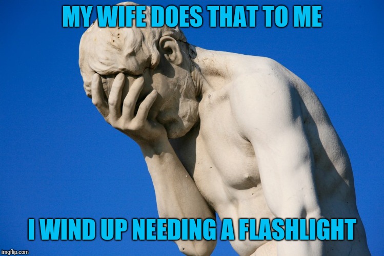 Embarrassed statue  | MY WIFE DOES THAT TO ME I WIND UP NEEDING A FLASHLIGHT | image tagged in embarrassed statue | made w/ Imgflip meme maker