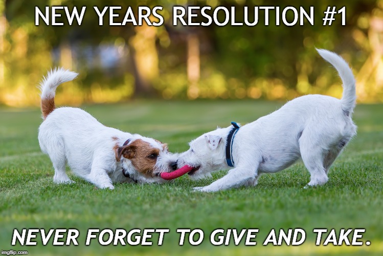 New Years Resolutions |  NEW YEARS RESOLUTION #1; NEVER FORGET TO GIVE AND TAKE. | image tagged in pets,dogs,cats,new year resolutions | made w/ Imgflip meme maker