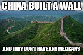 CHINA BUILT A WALL; AND THEY DON'T HAVE ANY MEXICANS | image tagged in trump wall | made w/ Imgflip meme maker