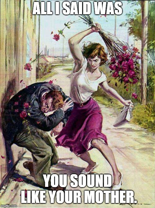 Beaten with Roses | ALL I SAID WAS; YOU SOUND LIKE YOUR MOTHER. | image tagged in beaten with roses | made w/ Imgflip meme maker