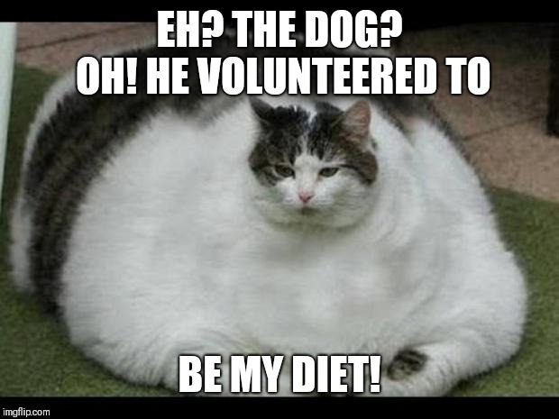 fat cat 2 | EH? THE DOG? OH! HE VOLUNTEERED TO; BE MY DIET! | image tagged in fat cat 2 | made w/ Imgflip meme maker