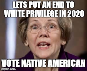 Full Retard Senator Elizabeth Warren | LETS PUT AN END TO WHITE PRIVILEGE IN 2020; VOTE NATIVE AMERICAN | image tagged in full retard senator elizabeth warren | made w/ Imgflip meme maker