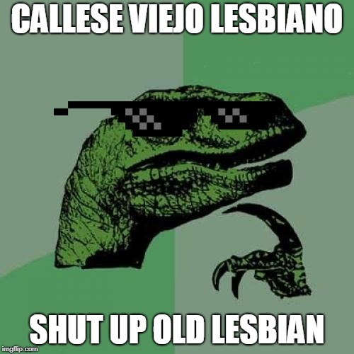 Philosoraptor | CALLESE VIEJO LESBIANO; SHUT UP OLD LESBIAN | image tagged in memes,philosoraptor | made w/ Imgflip meme maker