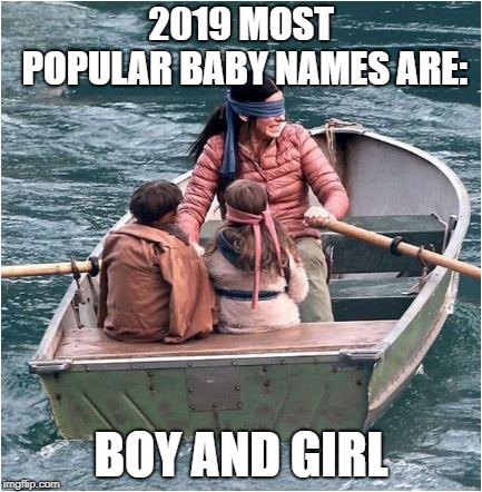  2019 MOST POPULAR BABY NAMES ARE:; BOY AND GIRL | image tagged in memes,birdbox | made w/ Imgflip meme maker
