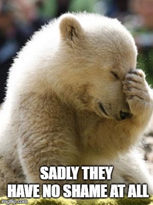 Facepalm Bear Meme | SADLY THEY HAVE NO SHAME AT ALL | image tagged in memes,facepalm bear | made w/ Imgflip meme maker