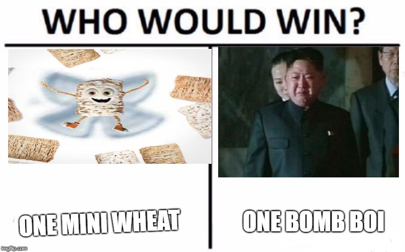 Who Would Win? | ONE BOMB BOI; ONE MINI WHEAT | image tagged in memes,who would win | made w/ Imgflip meme maker