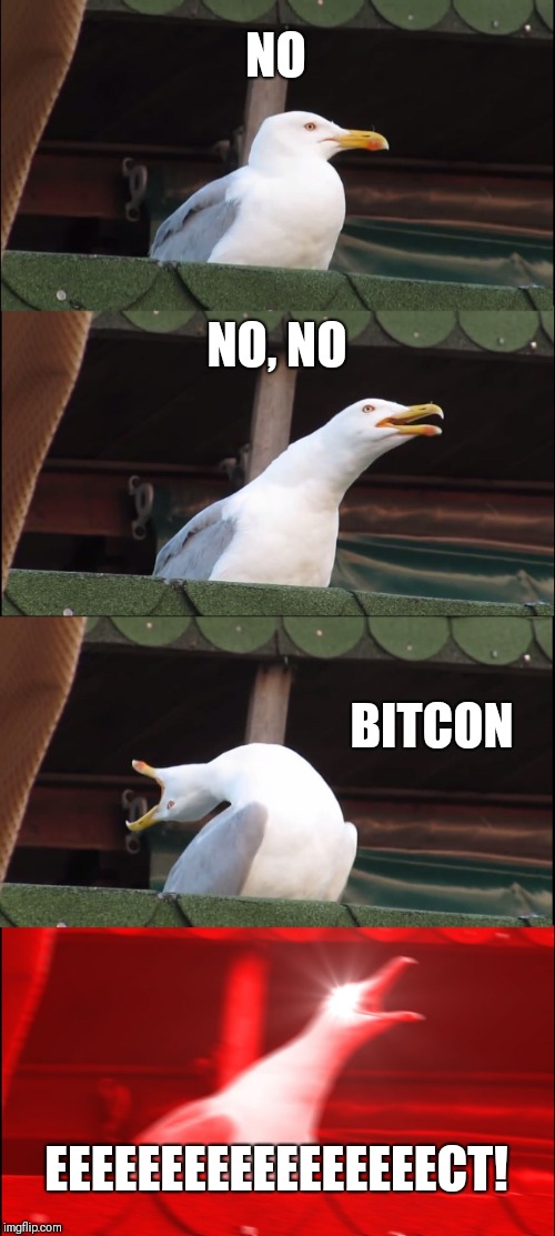 Inhaling Seagull Meme | NO; NO, NO; BITCON; EEEEEEEEEEEEEEEEECT! | image tagged in memes,inhaling seagull | made w/ Imgflip meme maker