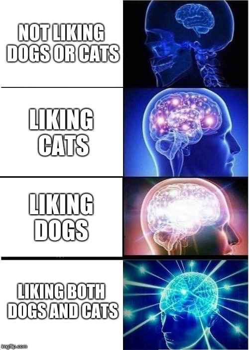Expanding Brain Meme | NOT LIKING DOGS OR CATS; LIKING CATS; LIKING DOGS; LIKING BOTH DOGS AND CATS | image tagged in memes,expanding brain | made w/ Imgflip meme maker