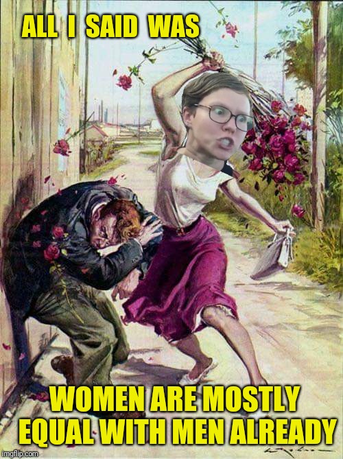 Pulverize the Patriarchy with Pink Petals! | ALL  I  SAID  WAS; WOMEN ARE MOSTLY EQUAL WITH MEN ALREADY | image tagged in beaten with roses,women rights,angry feminist,feminists,feminism | made w/ Imgflip meme maker