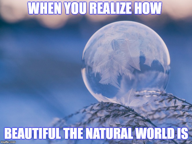 WHEN YOU REALIZE HOW; BEAUTIFUL THE NATURAL WORLD IS | image tagged in winter | made w/ Imgflip meme maker