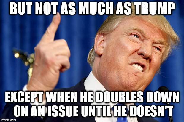 Donald Trump | BUT NOT AS MUCH AS TRUMP EXCEPT WHEN HE DOUBLES DOWN ON AN ISSUE UNTIL HE DOESN'T | image tagged in donald trump | made w/ Imgflip meme maker