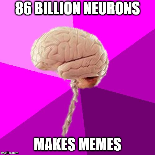 Incredible Human Brain | 86 BILLION NEURONS; MAKES MEMES | image tagged in incredible human brain | made w/ Imgflip meme maker