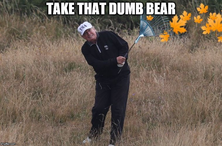 Trump raking | TAKE THAT DUMB BEAR | image tagged in trump raking | made w/ Imgflip meme maker