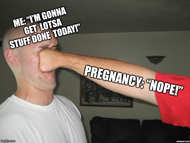 Face punch | ME: “I’M GONNA GET 
LOTSA STUFF DONE 
TODAY!”; PREGNANCY:
“NOPE!” | image tagged in face punch | made w/ Imgflip meme maker