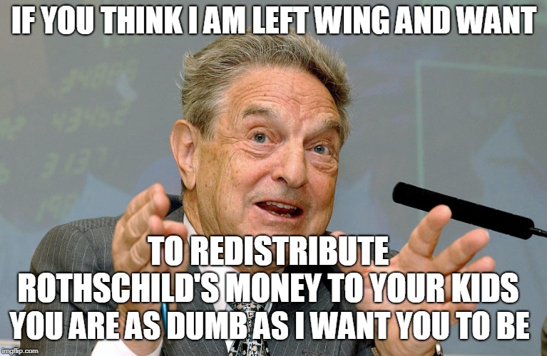 useful idiots  | IF YOU THINK I AM LEFT WING AND WANT; TO REDISTRIBUTE ROTHSCHILD'S MONEY TO YOUR KIDS; YOU ARE AS DUMB AS I WANT YOU TO BE | image tagged in sheep | made w/ Imgflip meme maker
