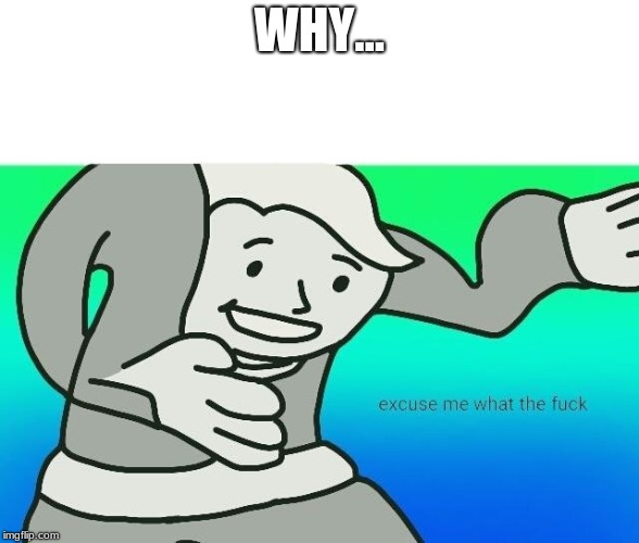 Excuse me, what the fuck | WHY... | image tagged in excuse me what the fuck | made w/ Imgflip meme maker