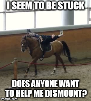 Think about it ;)  | I SEEM TO BE STUCK; DOES ANYONE WANT TO HELP ME DISMOUNT? | image tagged in memes,horse,dismount | made w/ Imgflip meme maker
