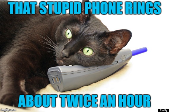 THAT STUPID PHONE RINGS ABOUT TWICE AN HOUR | made w/ Imgflip meme maker
