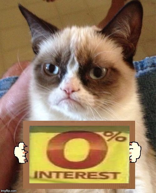 Grumpy Cat Cardboard Sign | image tagged in grumpy cat cardboard sign | made w/ Imgflip meme maker