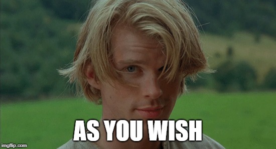 AS YOU WISH | made w/ Imgflip meme maker