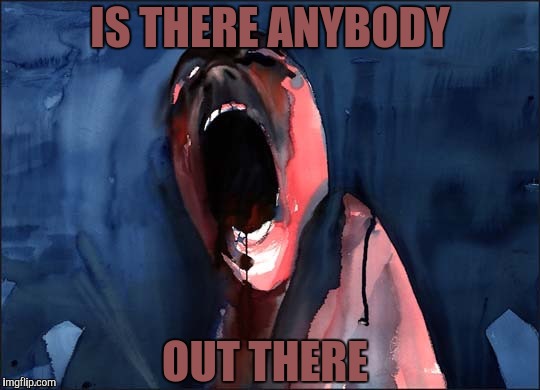 Pink Floyd Scream | IS THERE ANYBODY OUT THERE | image tagged in pink floyd scream | made w/ Imgflip meme maker