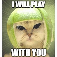 melon cat | I WILL PLAY WITH YOU | image tagged in melon cat | made w/ Imgflip meme maker