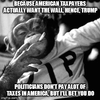 because fuck you, thats why | BECAUSE AMERICAN TAXPAYERS ACTUALLY WANT THE WALL, HENCE, TRUMP POLITICIANS DON'T PAY ALOT OF TAXES IN AMERICA, BUT I'LL BET YOU DO | image tagged in because fuck you thats why | made w/ Imgflip meme maker