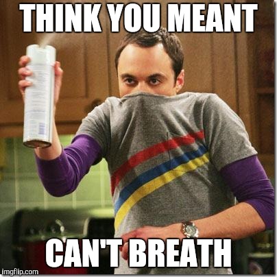 air freshener sheldon cooper | THINK YOU MEANT CAN'T BREATH | image tagged in air freshener sheldon cooper | made w/ Imgflip meme maker