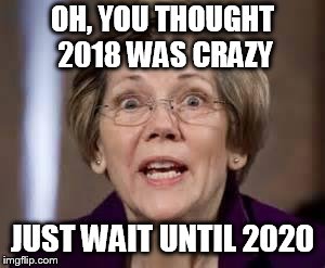Full Retard Senator Elizabeth Warren | OH, YOU THOUGHT 2018 WAS CRAZY; JUST WAIT UNTIL 2020 | image tagged in full retard senator elizabeth warren | made w/ Imgflip meme maker