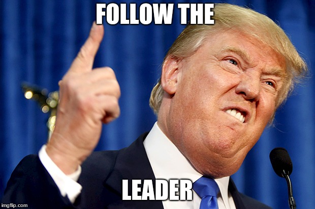 Donald Trump | FOLLOW THE; LEADER | image tagged in donald trump | made w/ Imgflip meme maker
