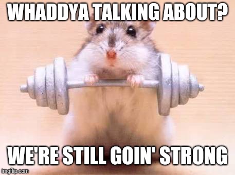 Hamster Weightlifting | WHADDYA TALKING ABOUT? WE'RE STILL GOIN' STRONG | image tagged in hamster weightlifting | made w/ Imgflip meme maker