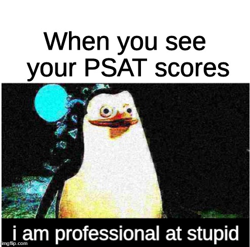 I am professional at stupid | When you see your PSAT scores | image tagged in i am professional at stupid | made w/ Imgflip meme maker