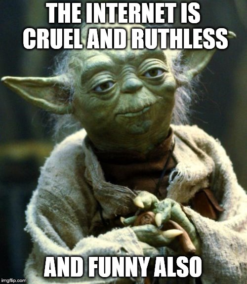 Star Wars Yoda Meme | THE INTERNET IS CRUEL AND RUTHLESS AND FUNNY ALSO | image tagged in memes,star wars yoda | made w/ Imgflip meme maker