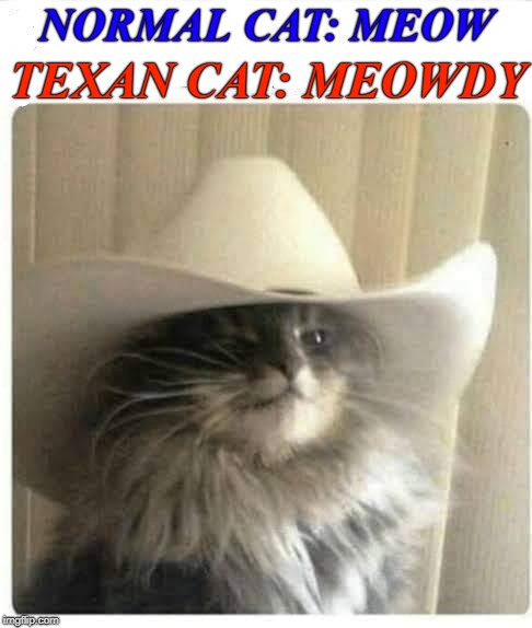 Meow'dy Purrr'dner | NORMAL CAT: MEOW; TEXAN CAT: MEOWDY | image tagged in memes,cats,texan cats,cat lingo,animals,cat | made w/ Imgflip meme maker