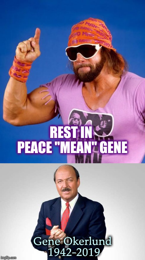 Wrestling loses it's voice |  REST IN PEACE "MEAN" GENE; Gene Okerlund 1942-2019 | image tagged in macho man,so you mean to tell me,wwe,announcement,goodbye | made w/ Imgflip meme maker