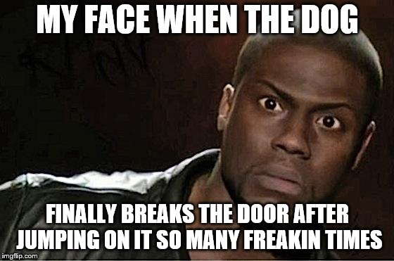 Kevin Hart Meme | MY FACE WHEN THE DOG; FINALLY BREAKS THE DOOR AFTER JUMPING ON IT SO MANY FREAKIN TIMES | image tagged in memes,kevin hart | made w/ Imgflip meme maker