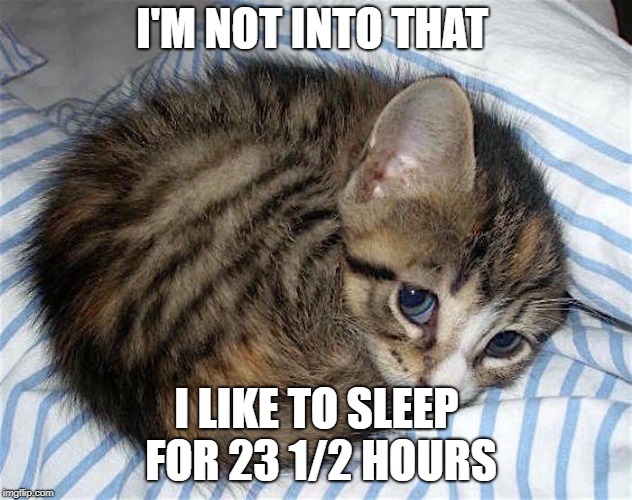 I'M NOT INTO THAT I LIKE TO SLEEP FOR 23 1/2 HOURS | made w/ Imgflip meme maker