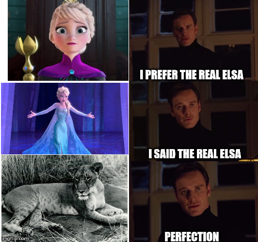 i prefer the real | I PREFER THE REAL ELSA; I SAID THE REAL ELSA; PERFECTION | image tagged in i prefer the real | made w/ Imgflip meme maker