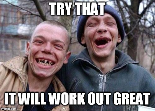 Ugly Twins Meme | TRY THAT IT WILL WORK OUT GREAT | image tagged in memes,ugly twins | made w/ Imgflip meme maker