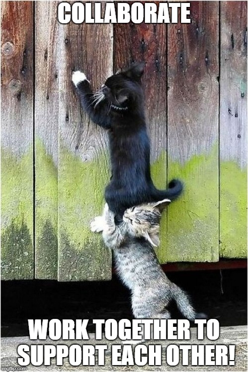 collaborating cats | COLLABORATE; WORK TOGETHER TO SUPPORT EACH OTHER! | image tagged in collaborating cats | made w/ Imgflip meme maker