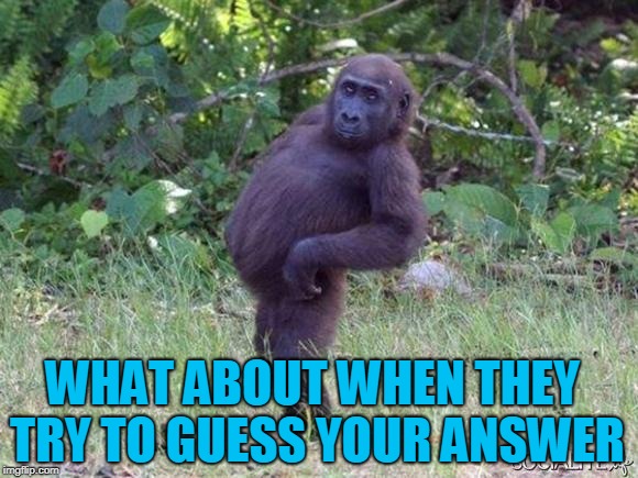 Sassy Monkey | WHAT ABOUT WHEN THEY TRY TO GUESS YOUR ANSWER | image tagged in sassy monkey | made w/ Imgflip meme maker