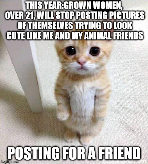 Cute Cat Meme | THIS YEAR:GROWN WOMEN, OVER 21, WILL STOP POSTING PICTURES OF THEMSELVES TRYING TO LOOK CUTE LIKE ME AND MY ANIMAL FRIENDS; POSTING FOR A FRIEND | image tagged in memes,cute cat | made w/ Imgflip meme maker