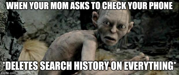 My Precious |  WHEN YOUR MOM ASKS TO CHECK YOUR PHONE; *DELETES SEARCH HISTORY ON EVERYTHING* | image tagged in my precious | made w/ Imgflip meme maker