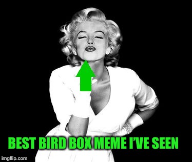 BEST BIRD BOX MEME I’VE SEEN | made w/ Imgflip meme maker
